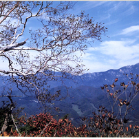 NIKON(ニコン)のフィルムカメラNew FM2 で撮影した写真(画像)一覧