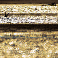 KENKO(ケンコー)のレンズ ケンコーミラーレンズ 500mm F6.3DX で撮影