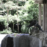 ❣ボケ味を活かした撮影に❣Canon EF 50mm Ⅱ❣美しい描写力❣美品❣ 965【機材紹介】広角なのにここまでボケる「Z 35mm f/1.2S」の
