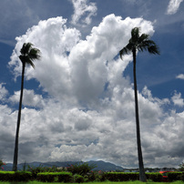 夏の雲 - 2 by Fur38 （ID：13062540） - 写真共有サイト:PHOTOHITO