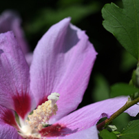 NIKON(ニコン)のデジタル一眼D7200 で撮影した写真(画像)一覧