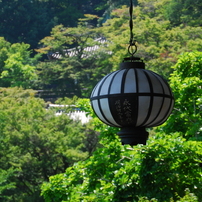 TAMRON(タムロン)のレンズ 18-270mm F/3.5-6.3 Di II VC PZD