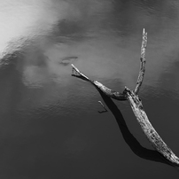 [良品/作例有] Nikon AF Nikkor 85mm f1.8 ニコン Nikon AF-S NIKKOR 85mm f/1.8Gを徹底解説。作例からレビュー