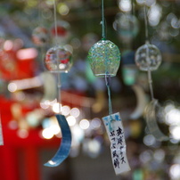 TAMRON(タムロン)のレンズ AF18-250mm F/3.5-6.3 Di II LD