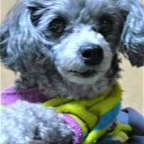 PANASONIC(パナソニック)のデジタルカメラLUMIX DMC-FX07 で撮影した