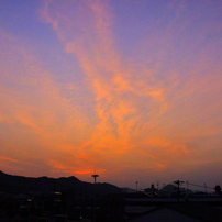 ペンタックス PENTAX K-m【作例あり】 ASAHI PENTAX KM / SMC PENTAX 50mm F1.4 解説と作例 – 御部