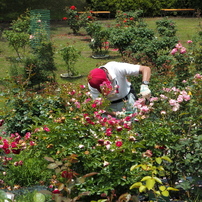 OLYMPUS - ✨極美品✨❤️オリンパス E-PL8❤️スマホ転送◎❤️ショット数1,291回！ Amazon | OLYMPUS ミラーレス一眼 E-PL8 EZ レンズキット