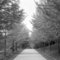 KONICA(コニカ)のフィルムカメラC35 flash matic で撮影した写真(画像