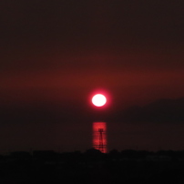 CANON(キヤノン)のデジタルカメラPowerShot SX740 HS で撮影した