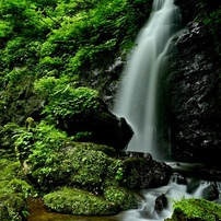 NIKON(ニコン)のレンズ Ai Nikkor 24mm f/2.8S で撮影した写真(画像