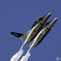 レンズ(単焦点) AI AF-S Nikkor ED 600mm F4D AF-S NIKKOR 600mm f/4E FL ED VR - 概要 | NIKKORレンズ | ニコン