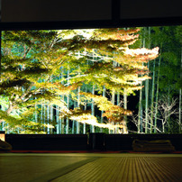 NIKON(ニコン)のレンズ Ai AF Zoom-Nikkor 24-85mm f/2.8-4D IF で撮影