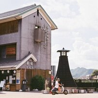 NIKON(ニコン)のフィルムカメラFM2 で撮影した写真(画像)一覧- 写真