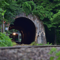 SIGMA(シグマ)のレンズ APO 120-400mm F4.5-5.6 DG OS HSM (ﾆｺﾝ用) で