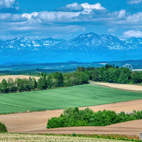 NIKON(ニコン)のレンズ AF-S NIKKOR 28-300mm f/3.5-5.6G ED VR