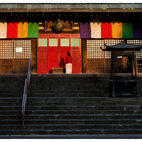 [良品/作例有] Nikon AF Nikkor 85mm f1.8 ニコン ニコン AI AF Nikkor 85mm f/1.8D[旧製品]を試写しました