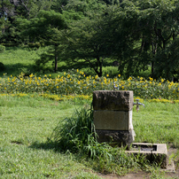 NIKON(ニコン)のレンズ Ai Nikkor 28mm f/2.8S で撮影した写真(画像