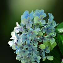 AF VR-NIKKOR 80-400mm 1:4.5-6.5D ED 作例有 NIKON(ニコン)のレンズ Ai AF VR Zoom-Nikkor 80-400mm f/4.5-5.6D ED