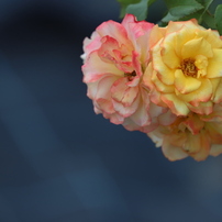 シグマ 100-400mm F5-6.3 DG OS HSM 作例あり 遠方風景作例』 シグマ 100-400mm F5-6.3 DG OS HSM [ニコン用