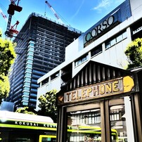 ✨極美品✨パナソニック DMC-FZ300❤️ショット数わずか58回！！ 概要 デジタルカメラ DMC-FZ300 | LUMIX（ルミックス） ミラー