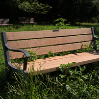 NIKON(ニコン)のレンズ Ai Nikkor 28mm f/2.8S で撮影した写真(画像