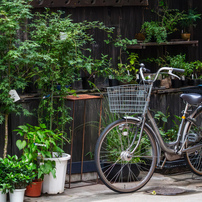 【作例あり】Canon EF-S55-250mm F4-5.6 IS STM EF-S55-250mm F4-5.6 IS STMで撮影された写真 | 写真検索 | GANREF