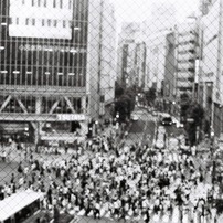 shibuya  no.1