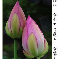 CANON(キヤノン)のデジタルカメラPowerShot SX50 HS で撮影した