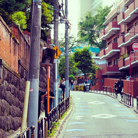 Nikon D3000一式♥️お散歩・風景・家族写真にぴったりな一眼デビュー機 D3000 - 概要 | 一眼レフカメラ | ニコン