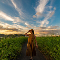 SIGMA(シグマ)のレンズ 10-20mm F3.5 EX DC HSM (ペンタックス用) で