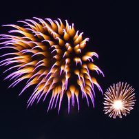 NIKON(ニコン)のデジタル一眼D7200 で撮影した写真(画像)一覧