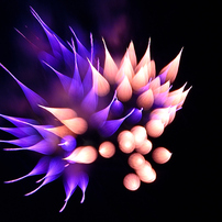 NIKON(ニコン)のデジタル一眼D7200 で撮影した写真(画像)一覧