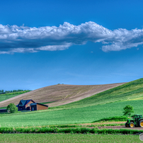 【作例あり】ニコン AF-S NIKKOR 28-300mm VR AF-S NIKKOR 28-300mm f/3.5-5.6G ED VRで撮影された写真 | 写真