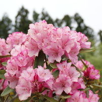 2014年04月の３
