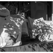 影ゆれる午後･･･