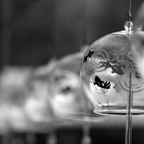 ＜作例あり＞ TAMRON SP 90mm F2.8 272E NIKON 作例あり＞ TAMRON SP 90mm F2.8 272E NIKON Tamron SP AF90mm