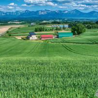 【作例あり】ニコン AF-S NIKKOR 28-300mm VR AF-S NIKKOR 28-300mm f/3.5-5.6G ED VRで撮影された写真 | 写真