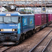 CANON(キヤノン)のレンズ EF-S55-250mm F4-5.6 IS STM で撮影