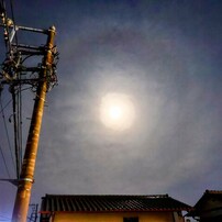Canon EF-S 10-22mm USM★広大な景色をそのまま写そう！ Amazon.co.jp: Canon 超広角ズームレンズ EF-S10-22mm F3.5-4.5