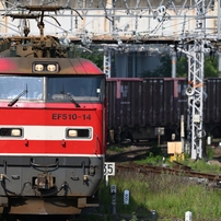 シグマ 100-400mm F5-6.3 DG OS HSM 作例あり SIGMA(シグマ)のレンズ 100-400mm F5-6.3 DG OS HSM [キヤノン用