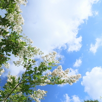 Canon EF-S 10-22mm USM★広大な景色をそのまま写そう！ Canon EF-S 10-22mm USM☆広大な景色をそのまま写そう！ 天の川