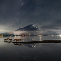 TAMRON(タムロン)のレンズ SP 15-30mm F/2.8 Di VC USD (Model A012