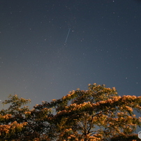 【作例あり】Canon EF 24mm f2.8 mqdefault.jpg