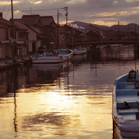 CANON(キヤノン)のレンズ EF85mm F1.8 USM で撮影した写真(画像