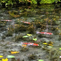 TAMRON(タムロン)のレンズ AF 28-300mm F3.5-6.3 XR Di LD Aspherical