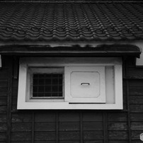 COSINA(コシナ)のレンズ フォクトレンダー COLOR SKOPAR 50mm F2.5