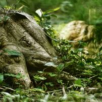 KENKO(ケンコー)のレンズ ケンコーミラーレンズ 500mm F6.3DX で撮影