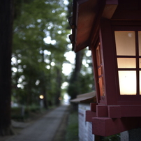 NIKON(ニコン)のレンズ Ai AF Nikkor 28mm F1.4D で撮影した写真(画像