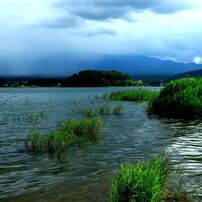 ✨極美品✨キャノン EF 17-35mm F2.8L USM❤️風景撮影の相棒！ Amazon | Canon AFレンズ EF 17-35mm F2.8L USM | カメラ用交換レンズ 通販