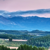 NIKON(ニコン)のレンズ AF-S NIKKOR 28-300mm f/3.5-5.6G ED VR で撮影